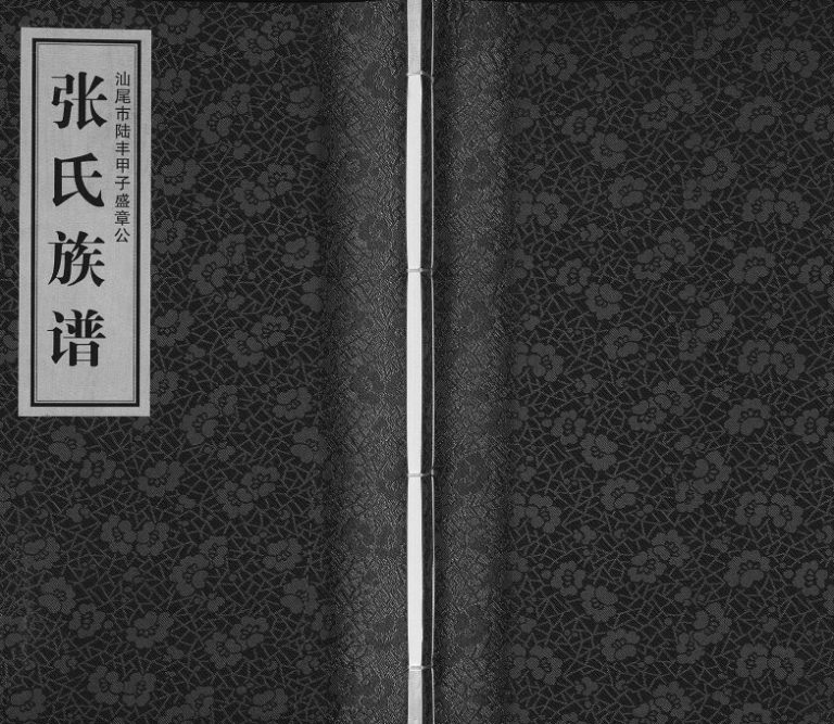 2017年修汕尾市陆丰甲子盛章公张氏族谱[不分卷]广东张姓电子版家谱下载