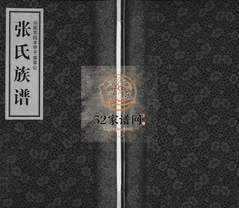 2017年修汕尾市陆丰甲子盛章公张氏族谱[不分卷]广东张姓电子版家谱下载