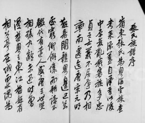 1973年修张氏清河堂族谱 广东张姓电子版家谱下载