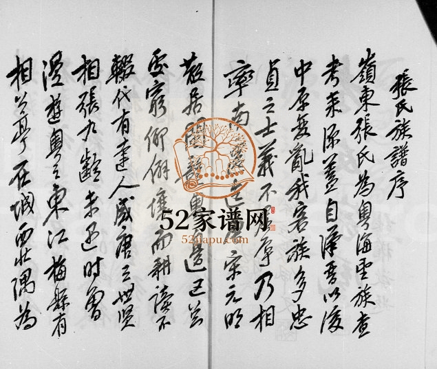 1973年修张氏清河堂族谱 广东张姓电子版家谱下载
