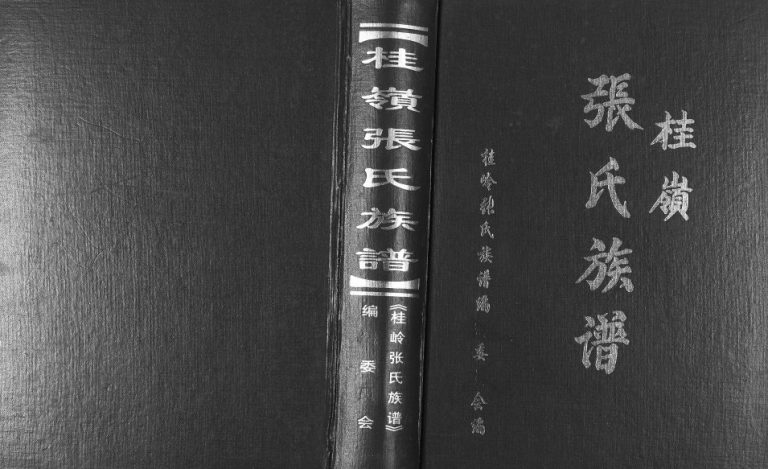 2006年修桂岭张氏族谱 广东揭东张姓电子版家谱下载