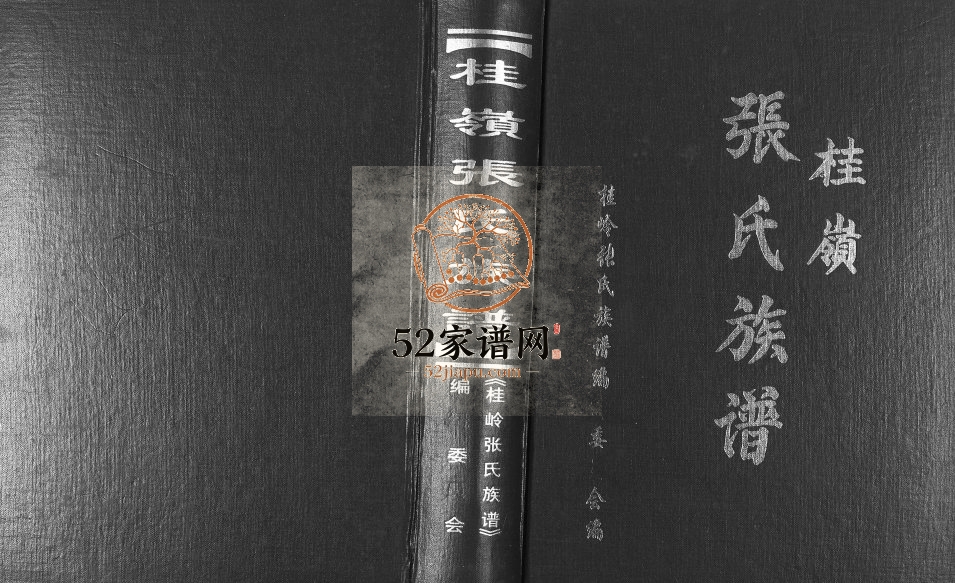 2006年修桂岭张氏族谱 广东揭东张姓电子版家谱下载