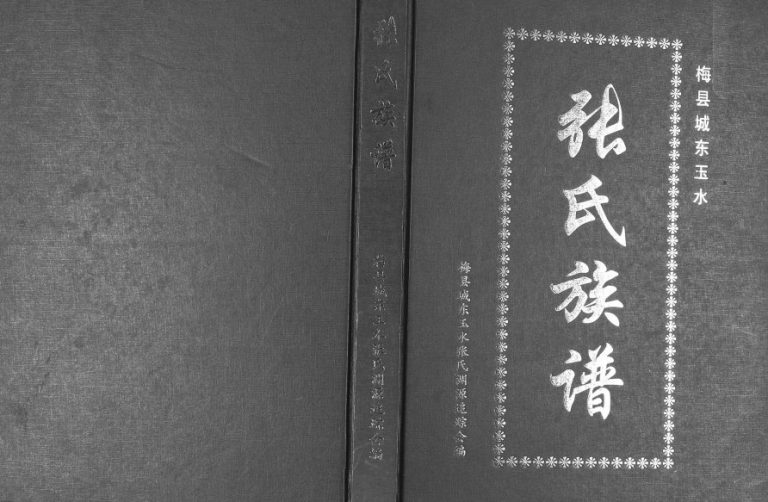 2009年修梅县城东玉水张氏族谱 广东张姓电子版家谱下载
