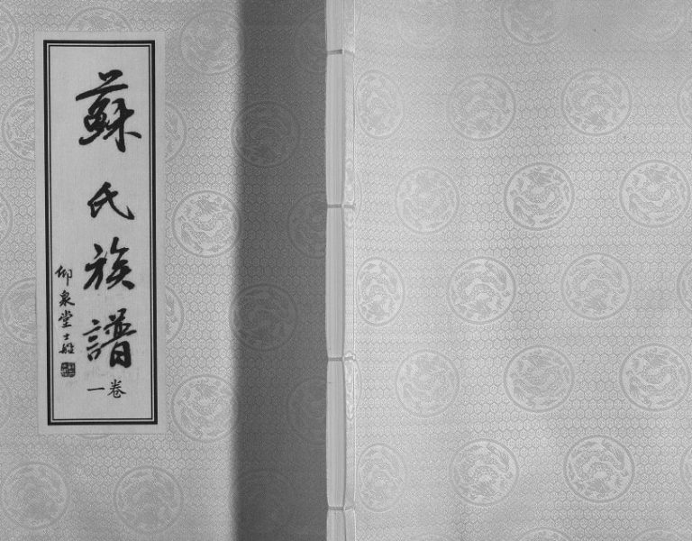 2016年七修苏氏族谱.穆家套 江苏赣榆仰泉堂苏姓电子版家谱下载
