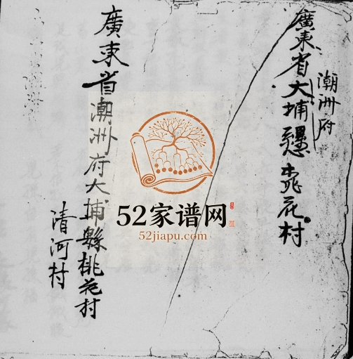 1973年修张家系族谱 广东大浦 台湾张氏电子版家谱下载