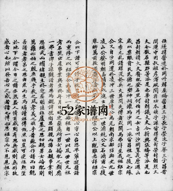1868年修凌冲张氏家谱 广东新会张姓电子版族谱下载