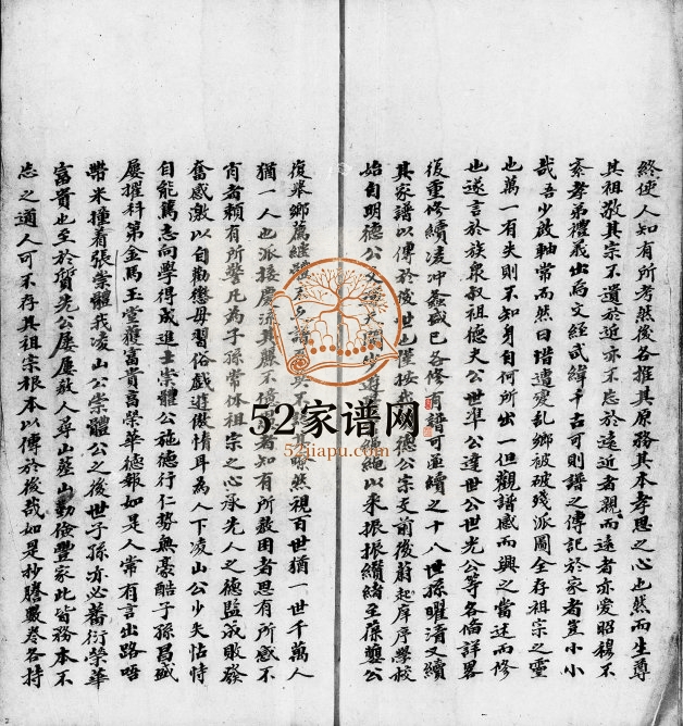 清代年间张氏家谱 广东新会张姓电子版族谱下载