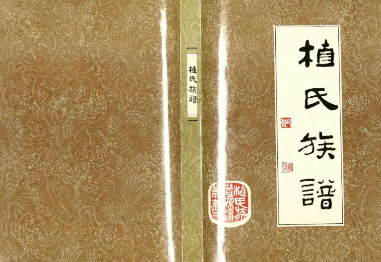 1993年修植氏族谱 广东 南雄 三水 广西 河南 安徽 江西 四川 贵州植姓电子版家谱下载