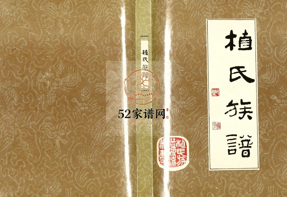 1993年修植氏族谱 广东 南雄 三水 广西 河南 安徽 江西 四川 贵州植姓电子版家谱下载