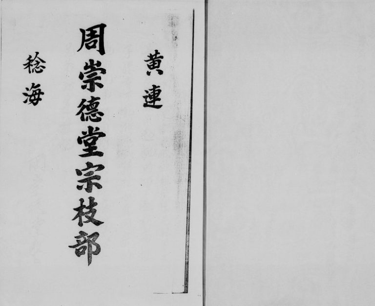 1989年修黄连稔海周崇德堂宗枝部 广东顺德周氏电子版族谱下载