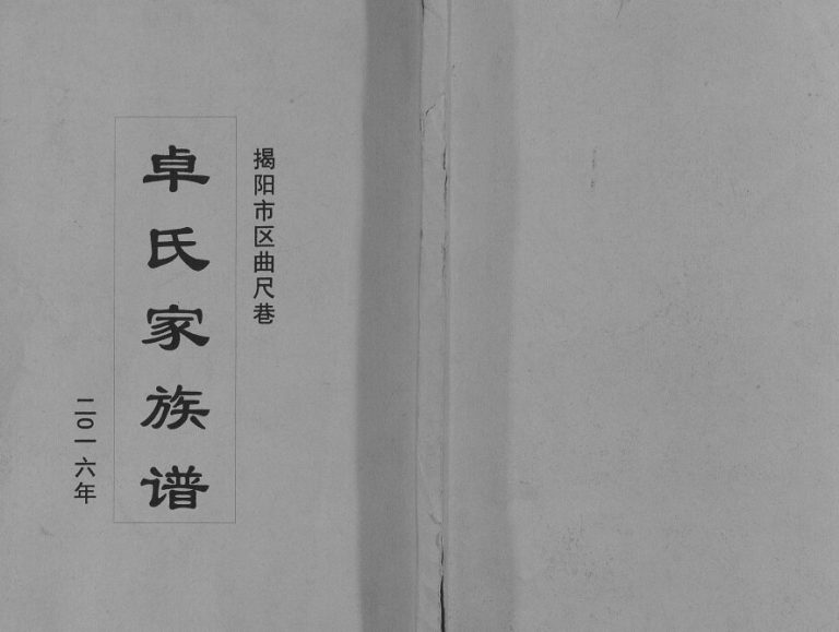 2016年修揭阳市区曲尺巷卓氏家族谱[不分卷]广东卓姓电子版家谱下载