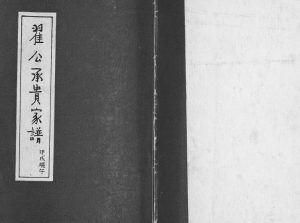 1995年修翟氏翟公承贵家谱[不分卷]天津省 塘沽翟姓电子版族谱下载