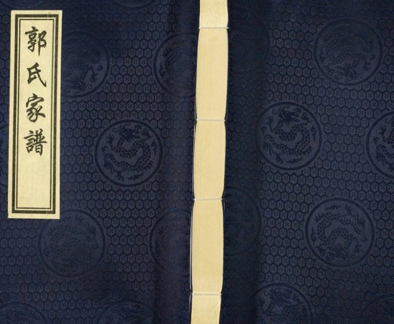 2018年修天津市西青区梨园头村郭氏家谱 汾阳堂郭姓电子版族谱下载