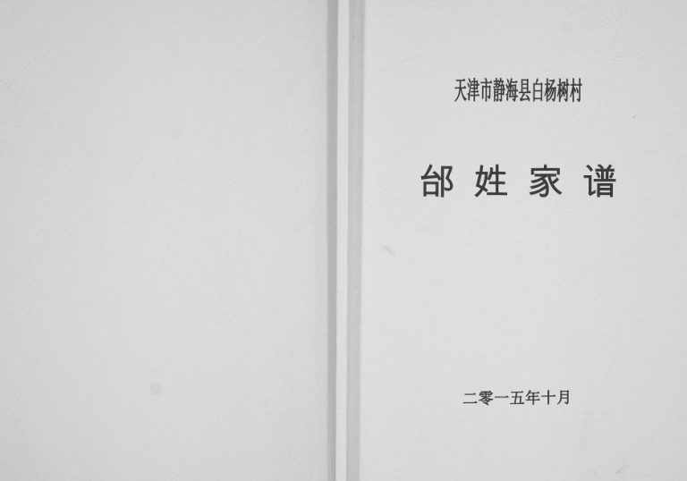 2015年修天津市静海县白杨树村邰姓家谱[不分卷]电子版族谱下载