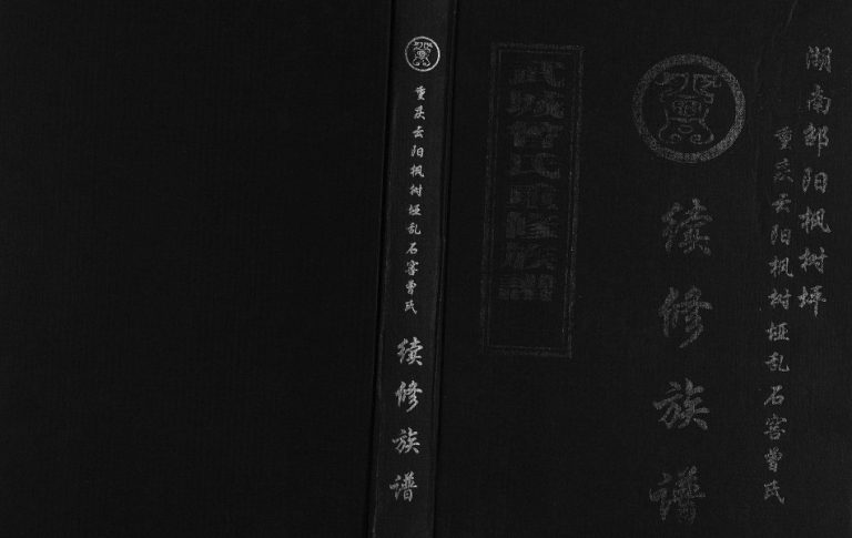 2010年湖南邵阳枫树坪重庆云阳枫树垭乱石窖曾氏续修族谱[不分卷]曾姓电子版家谱下载