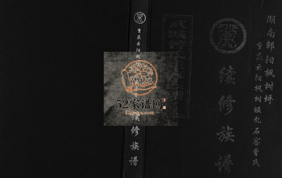 2010年湖南邵阳枫树坪重庆云阳枫树垭乱石窖曾氏续修族谱[不分卷]曾姓电子版家谱下载
