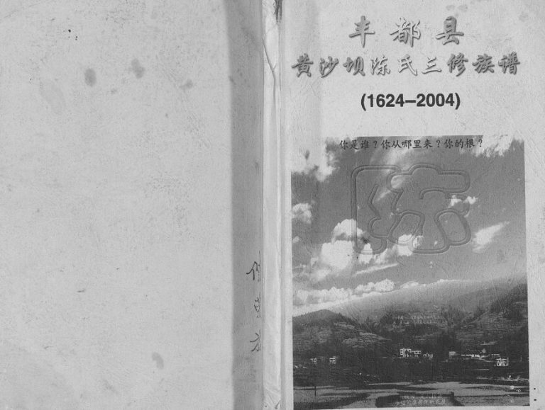 2004年丰都县黄沙坝陈氏三修族谱 重庆陈姓电子版家谱下载