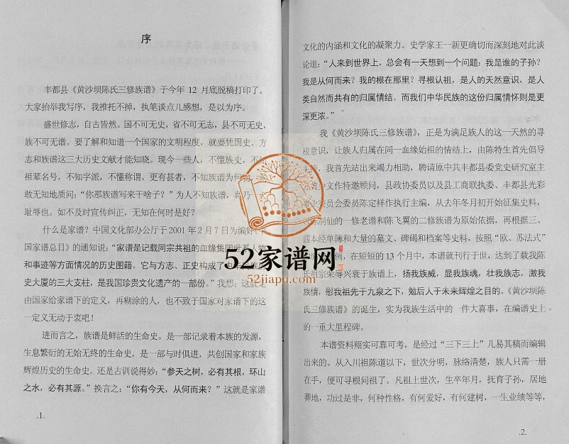 2004年丰都县黄沙坝陈氏三修族谱 重庆陈姓电子版家谱下载