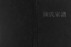 2003年修岳家湖老虎堰地域陈氏谅公家谱 重庆 云阳 常德 澧县德星堂陈姓电子版族谱下载