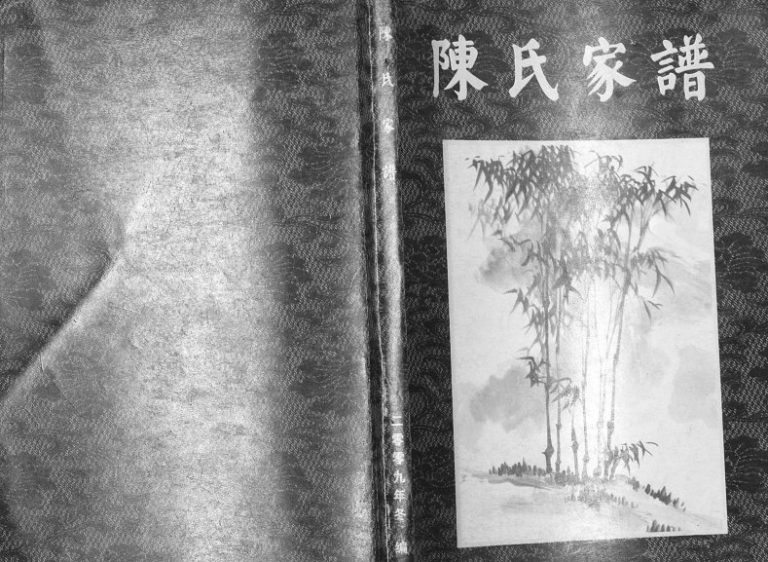 2009年修陈氏家谱[不分卷]重庆 江津 南充 顺庆陈姓电子版族谱下载