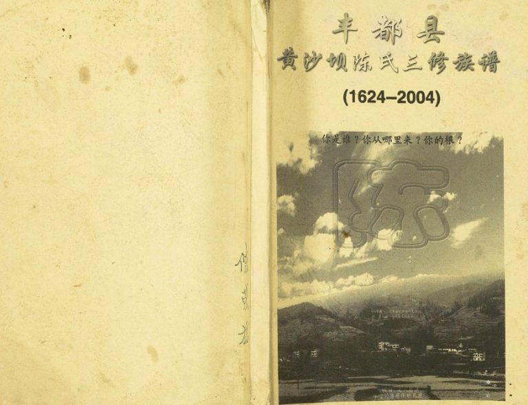 2004年黄沙坝陈氏三修族谱 重庆 丰都陈姓电子版家谱下载
