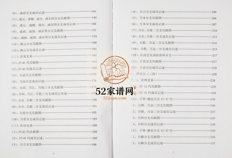 2017年修张氏族谱重庆巴南石岭岗宗系 张姓电子版家谱下载