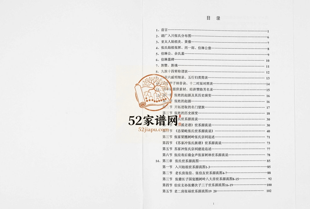 2013年修忠梁毗张氏族谱 重庆 忠县张姓电子版家谱下载