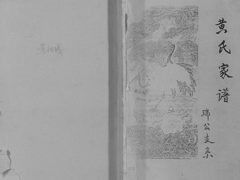 1999年修黄氏家谱瑞公支系[不分卷]重庆 开州区黄姓电子版族谱下载