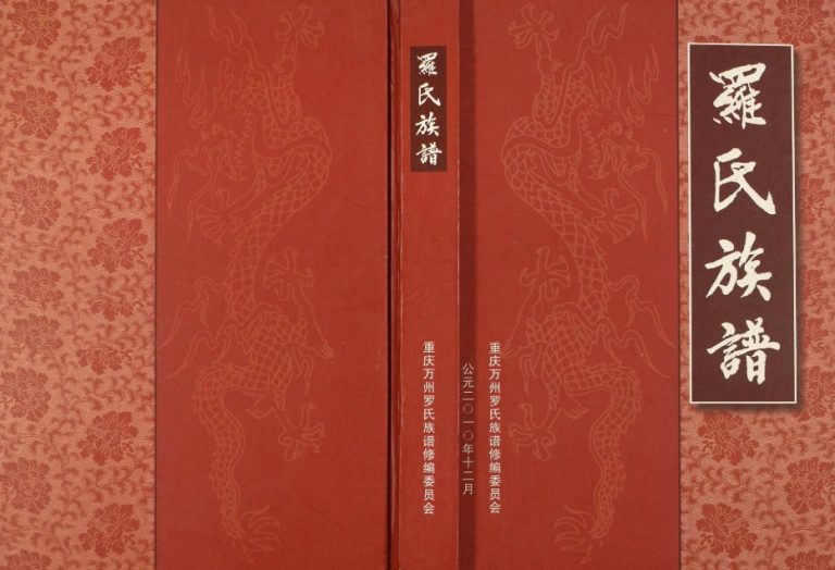 2010年修罗氏族谱 重庆 万州区罗姓电子版家谱下载