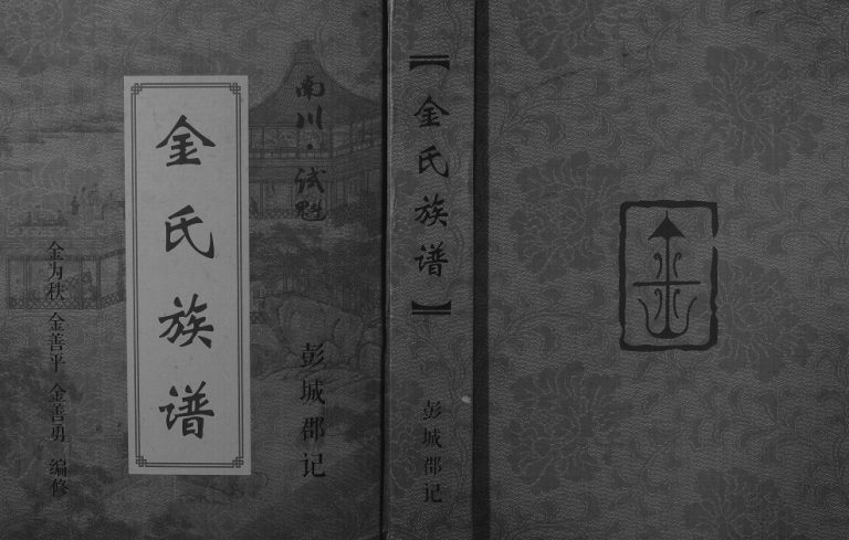 2018年修金氏族谱 重庆 南川金姓电子版家谱下载