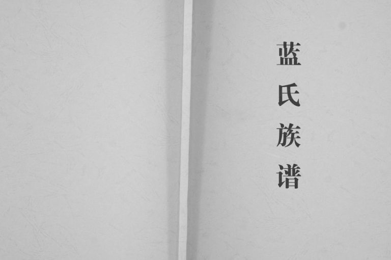 2007年修蓝氏族谱[不分卷]重庆 荣昌蓝姓电子版家谱下载