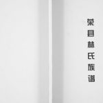 2014年修荣县林氏族谱[不分卷]四川林姓电子版家谱下载