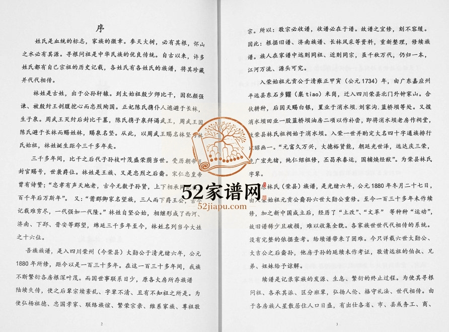 2014年修荣县林氏族谱[不分卷]四川林姓电子版家谱下载
