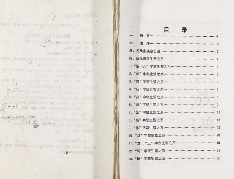 2000年修龙氏族谱 重庆 石柱 万州区龙姓电子版家谱下载