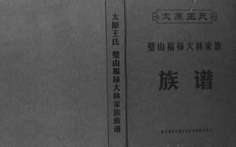 2015年修太原王氏壁山福禄大林家族族谱 璧山 永川 赤水 铜梁王姓电子版家谱下载