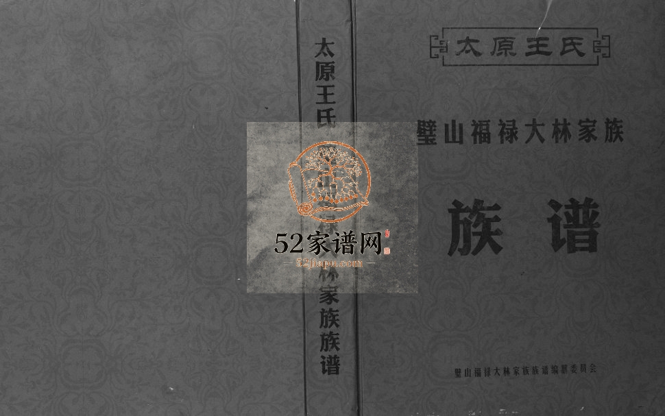 2015年修太原王氏壁山福禄大林家族族谱 璧山 永川 赤水 铜梁王姓电子版家谱下载