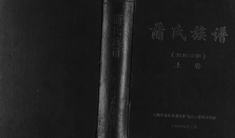 2006年修蒲氏族谱 重庆 云阳蒲姓电子版家谱下载