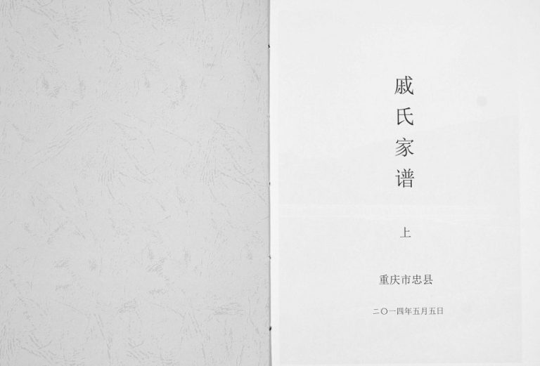 2014年修重庆市忠县戚氏家谱戚姓电子版族谱下载