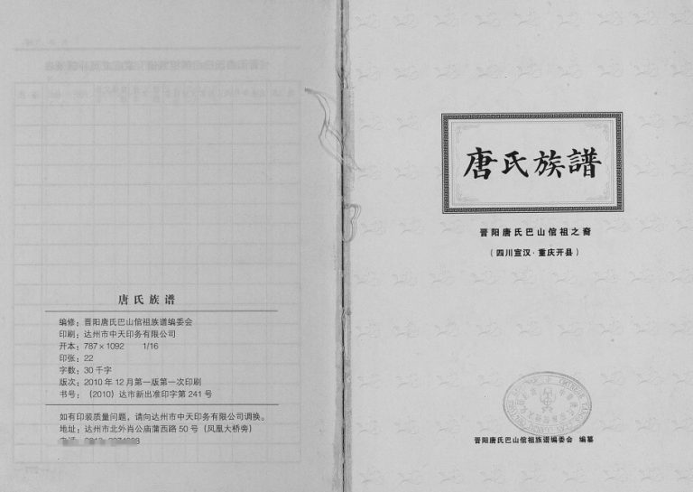 2010年修唐氏族谱晋阳唐氏巴山倌祖之裔 重庆 开州区 达州 宣汉唐姓电子版家谱下载
