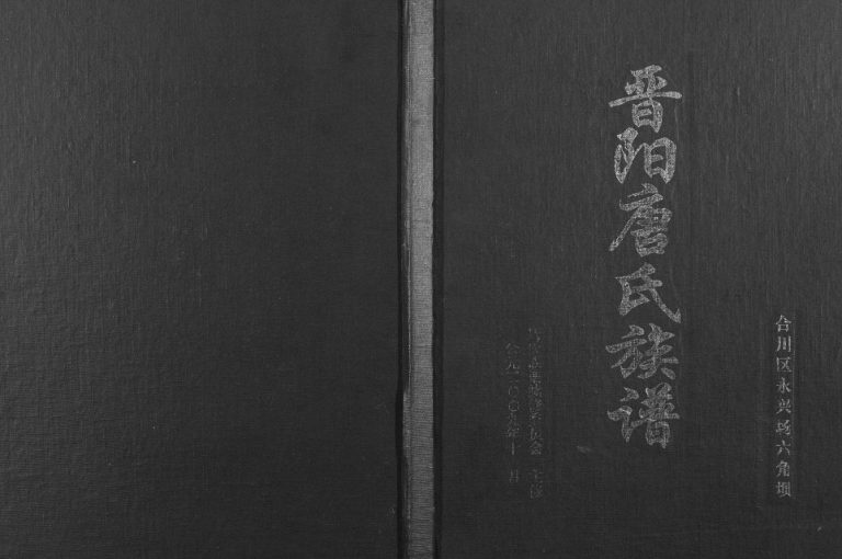 2009年修晋阳唐氏族谱 重庆 合川唐姓电子版家谱下载