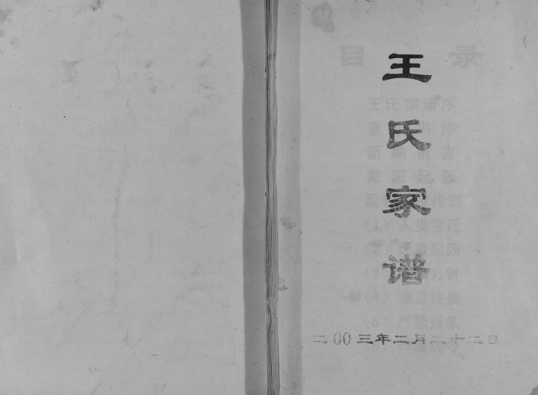 2003年修王氏家谱 重庆 忠县王姓电子版族谱下载
