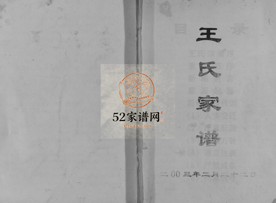 2003年修王氏家谱 重庆 忠县王姓电子版族谱下载
