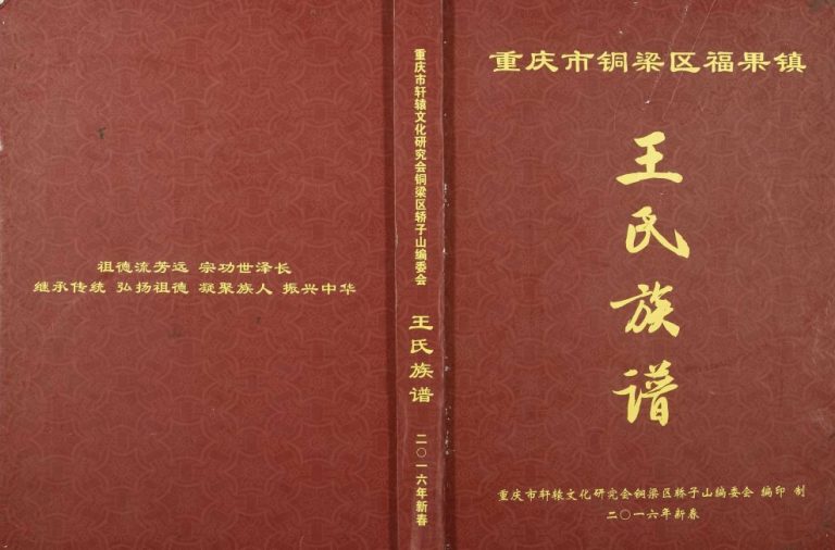 2017年修重庆市铜梁区福果镇轿子山宗支插占地轿子山石岭岗王氏族谱 王姓电子版家谱下载