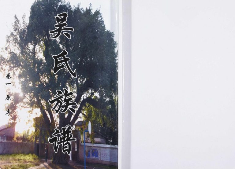 2012年修多肖坪吴氏族谱[2卷]重庆 开州区吴姓电子版家谱下载