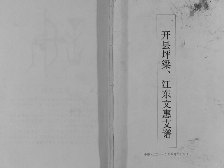 2011年修[谢氏]开县坪梁江东文惠支谱 重庆 开州区谢姓电子版族谱下载
