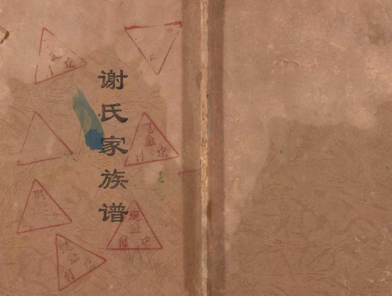 2000年修谢氏家族谱[不分卷]重庆 开州区谢姓电子版家谱下载