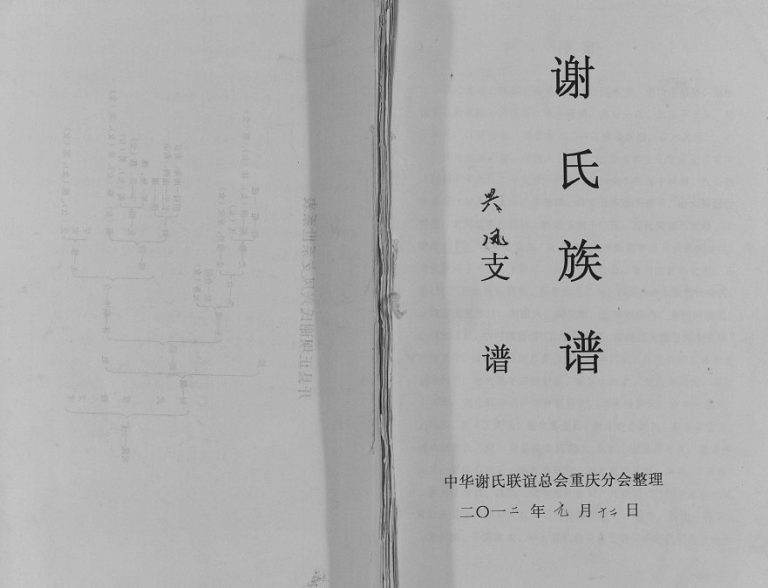 2012年修谢氏族谱.兴凤支谱 重庆 开州区谢姓PDF电子版家谱下载