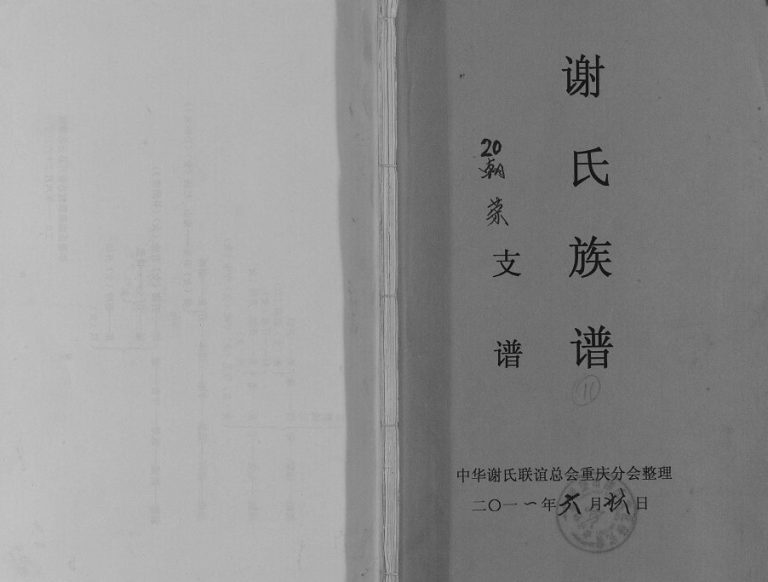 2011年修谢氏族谱朝荣支谱 开州区 梁平谢姓PDF电子版家谱下载