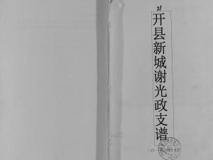 2011年修开县新城谢光政支谱 开州区谢氏PDF电子版族谱下载