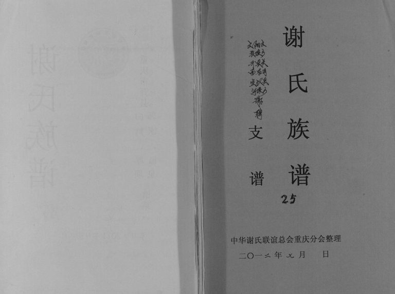 2012年修谢氏族谱.云阳县农坝 开县关面 满月 宣汉县河坝乡谢聘部分支谱pdf电子版家谱下载